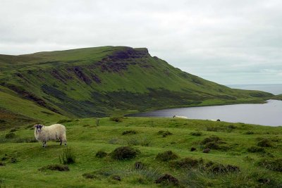 Isle of Skye - 8720
