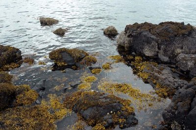 Coral Beach, Isle of Skye - 8897