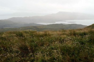 Old Man of Storr, Isle of Skye - 9005