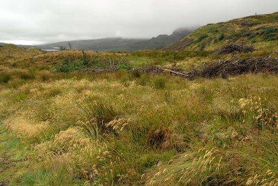 Old Man of Storr, Isle of Skye - 9083