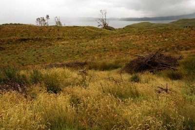 Old Man of Storr, Isle of Skye - 9085