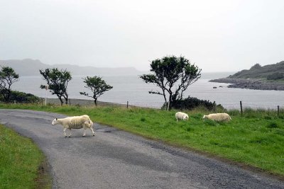 Glenbrittle, Isle of Skye - 9147