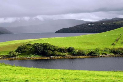 Bracadale, Isle of Skye - 9241