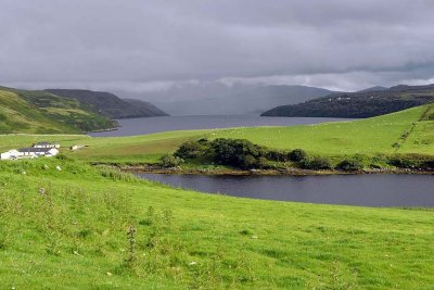 Bracadale, Isle of Skye - 9245