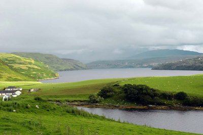 Bracadale, Isle of Skye - 9258