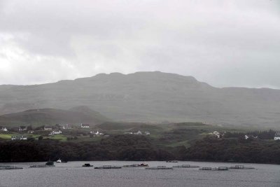 Bracadale, Isle of Skye - 9298