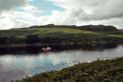 Bracadale, Isle of Skye - 9305