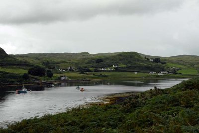 Bracadale, Isle of Skye - 9307