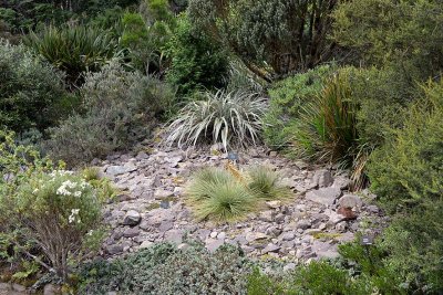 Inverewe Garden, Poolewe - 9863