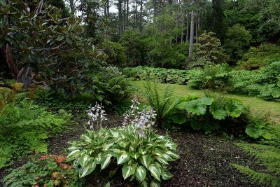 Inverewe Garden, Poolewe - 9906