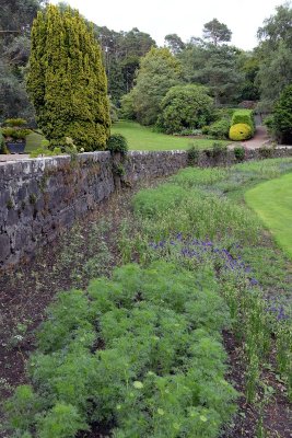 Inverewe Garden, Poolewe - 0074