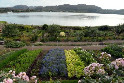 Gallery: Scotland - Inverewe Garden, Poolewe