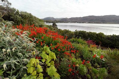 Inverewe Garden, Poolewe - 0097