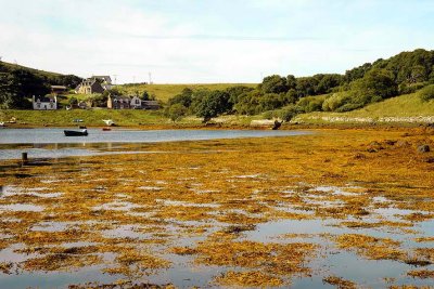 Badachro, Gair Loch - 0180