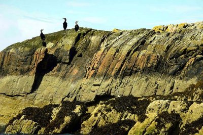 Badachro, Gair Loch - 0367