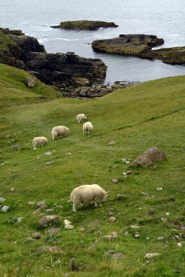 Stoer, Assynt, Sutherland - 0857