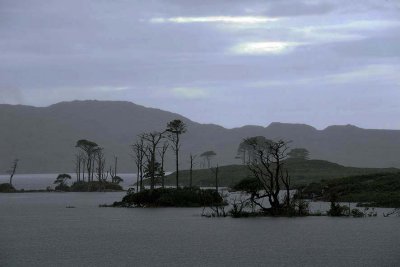 Loch Assynt, Sutherland - 0971