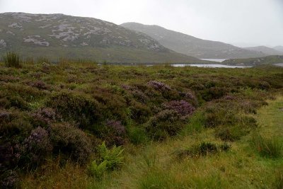 Kyle of Durness, Sutherland - 1048