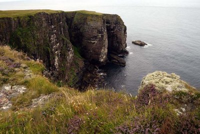 Handa Island - 2222