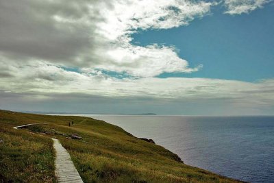 Handa Island - 2325