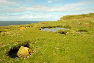 Handa Island - 2379