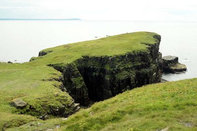 Gallery: Scotland - Handa Island, Inner Hebrides, Sutherland