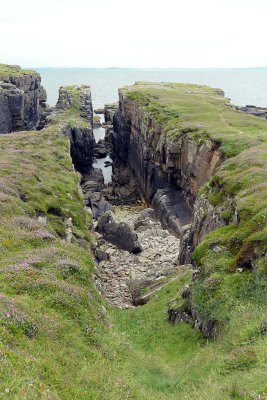 Handa Island - 2486