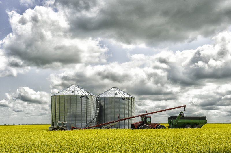 Bin With Equipment