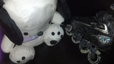Pochacco cleaning skates with new sephora kabuki brush