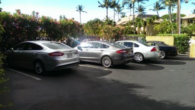 IMAG0792.jpg