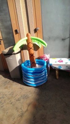 IMAG0804.jpg