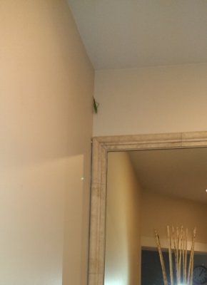 IMAG0962.jpg
