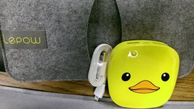 duck charger