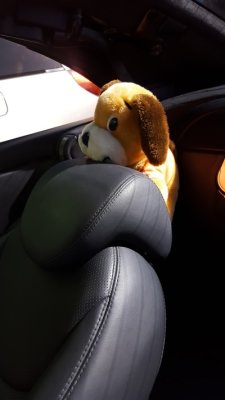 co-pilot