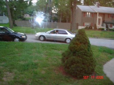Picture 031.jpg