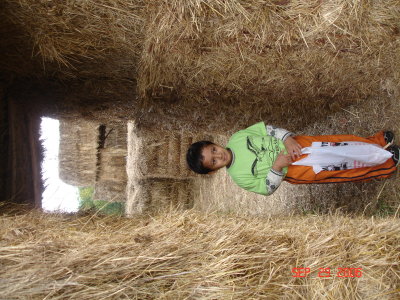 Picture 090.jpg