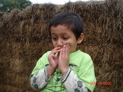 Picture 091.jpg