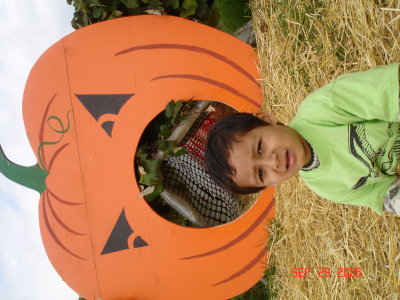 Picture 093.jpg