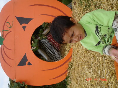 Picture 094.jpg