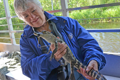 Ann with Young Alligator!