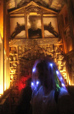 bm201351.jpg