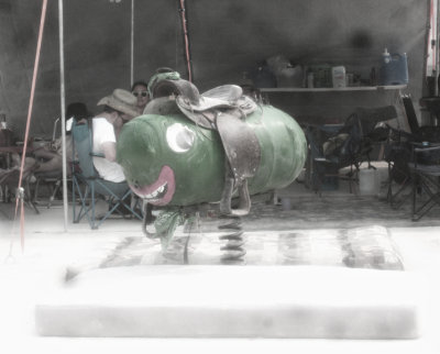 bm201392.jpg