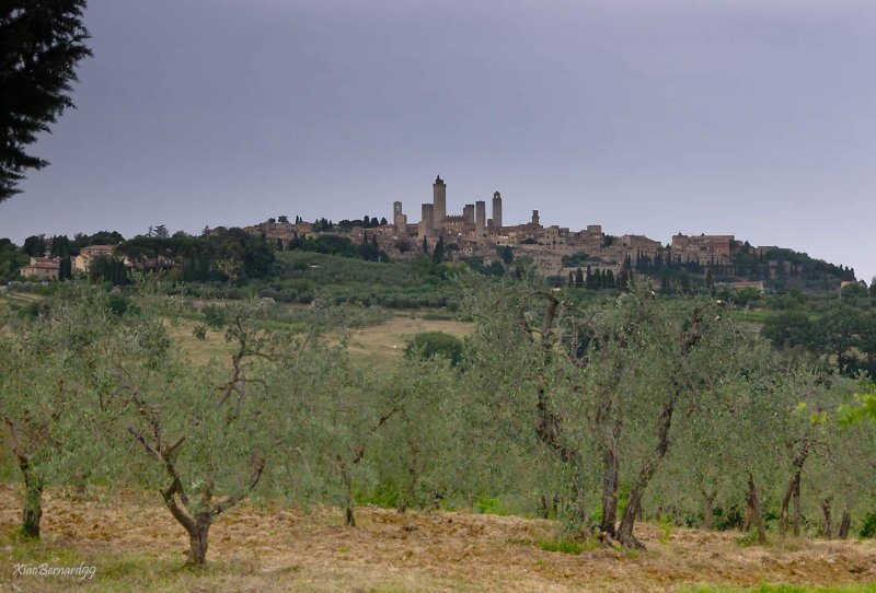San Gimignano  with its Towers 