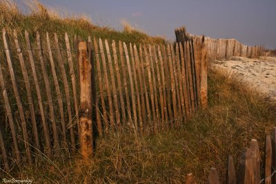 Le CROTOY. Along the Beach