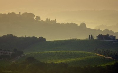 Tuscany Landscape in the Morning .Day 1 