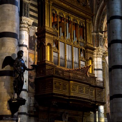 SIENA.Inside The Cathedral of Dome.Orgue