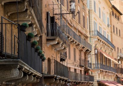 SIENA.Architecture of the Place del Campo