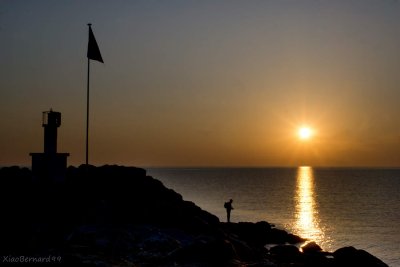 The sport of the morning in a Harbor