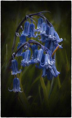 Reminder of Spring