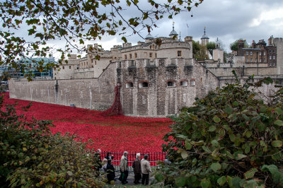 Tower of London and the Ceramic Poppies
